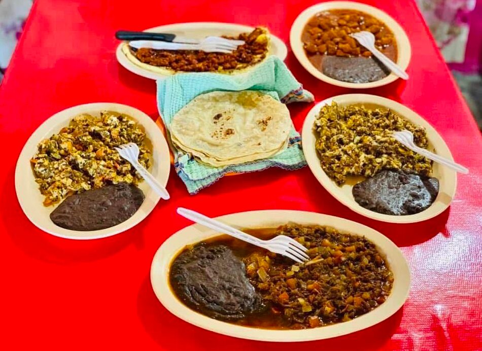 captura de pantalla 2026 04 19 a la(s) 8.48.28 p.m.