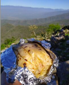 captura de pantalla 2026 04 19 a la(s) 8.48.39 p.m.