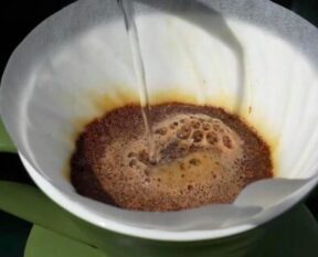 captura de pantalla 2026 04 21 a la(s) 3.29.24 p.m.